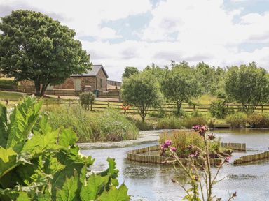 A pond with nearby trees and a building at Beech Cottage in Truro