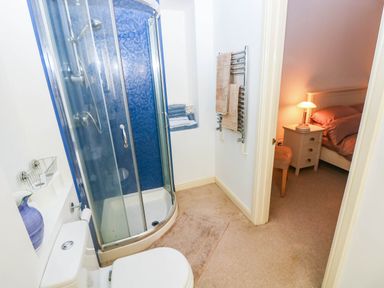 A bathroom with a shower and toilet at Basement Apartment in Tenby