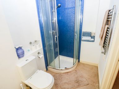 A bathroom with a shower and toilet at Basement Apartment in Tenby
