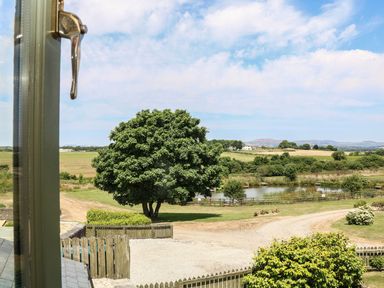 A view from a window showing a tree and pond at Oak Cottage in Truro