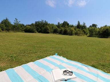 A blanket with a book and sunglasses on it in a grassy area at Oak Cottage Truro