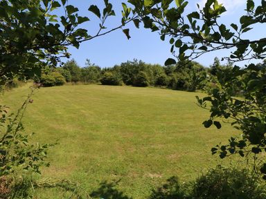 A garden area with grass and surrounding trees at Oak Cottage in Truro