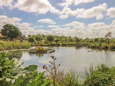 A pond with trees and a boat at Hawthorn Cottage in Truro