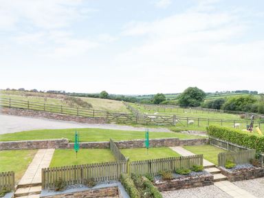 An outdoor area with grass and sheep at Hawthorn Cottage in Truro