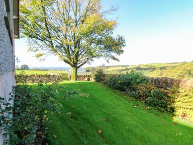 A garden with a tree and grassy area at The Bungalow in Penrith