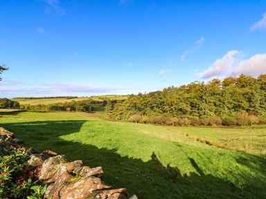 A view of a green field and trees at The Bungalow in Penrith