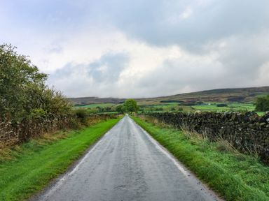 A road with trees and stone walls in a rural area at The Bungalow in Penrith
