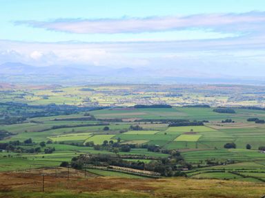 A landscape with fields and trees at The Bungalow in Penrith