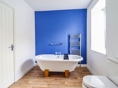 A bathroom with a freestanding bathtub and a towel radiator at Flat 4 Greenfields in Barmouth