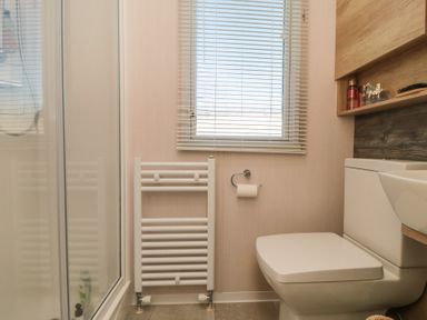 A bathroom with a shower, toilet, and window at 19 Finch