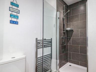 A bathroom featuring a shower and a toilet at Apartment 3 in Newquay