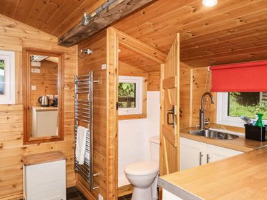 A bathroom with a sink and toilet at Thimble Lodge in Gunnislake