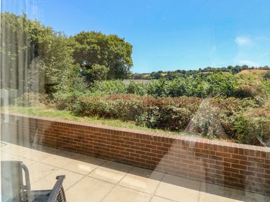 A view of greenery and a brick wall at Willow in Kingsteignton