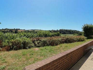 A view of fields and bushes in the landscape at Willow in Kingsteignton