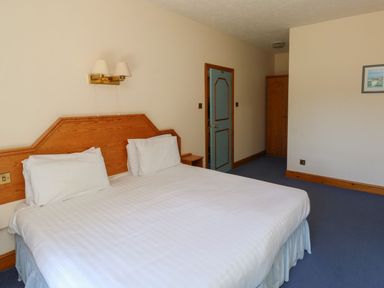 A bedroom with a bed and a wardrobe at Willow in Kingsteignton