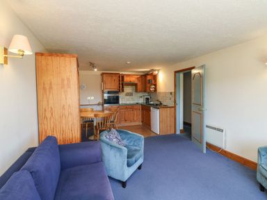 A living room with kitchen and dining area at Moorhen in Kingsteignton