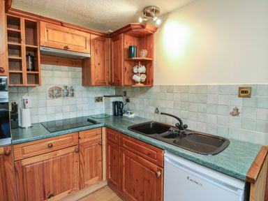 A kitchen with wooden cabinets and a sink at Plover in Kingsteignton