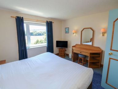A bedroom with a bed and television at Nightjar in Kingsteignton