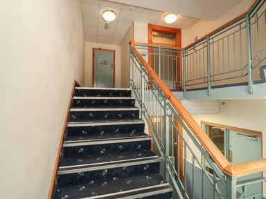 A staircase with carpet and handrails at Chaffinch in Kingsteignton