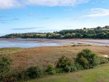 A landscape view with water, grass, and trees at Guillemot in Kingsteignton