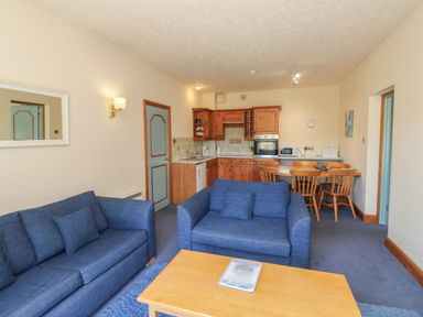A living room with a kitchen area and seating at Avocet in Kingsteignton