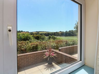 A view from a window showing a plant and countryside at Avocet in Kingsteignton