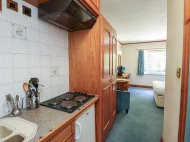 A kitchen area with a cooker and sink at Sycamore in Kingsteignton