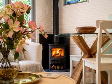 A living room with a wood stove and dining table at the property in location