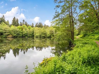 A lake surrounded by trees and a grassy path