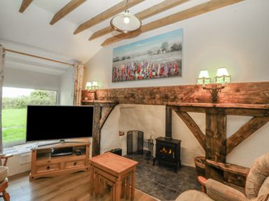 A living room with a television and fireplace at Bryn Eithin in Penygroes