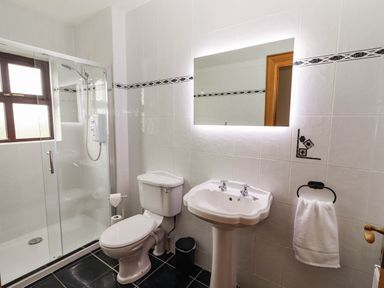 A bathroom with shower, toilet, and sink at Wild Atlantic Ferry View, Kilrush, County Clare
