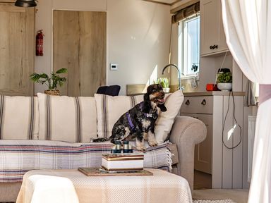 A living room with a dog on the sofa at 2 Bed Caravan, Sleeps 4 with Sea Views West Lulworth