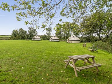 Four yurts with a picnic table and chairs at Yurt, Sleeps 2 with BBQ and Fire Pit, Tregooden Farm near St Tudy