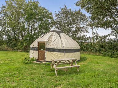 A yurt with a wooden door and a picnic table at Yurt, Sleeps 2 with BBQ and Fire Pit, Tregooden Farm near St Tudy