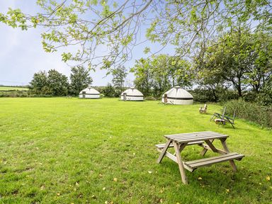 A picnic area with yurts and seating at Yurt, Sleeps 5 and Dogs Welcome