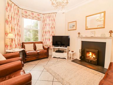 A living room with a sofa, television, and fireplace at Craig Y Glyn