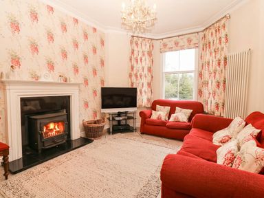 A living room with a fireplace and a television at Craig Y Glyn