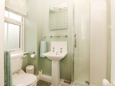A bathroom featuring a toilet, sink, and shower at Craig Y Glyn