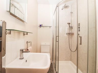 A bathroom with a shower and washbasin at Craig Y Glyn
