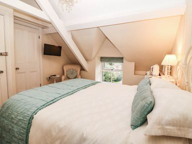 A bedroom with a bed and television at Craig Y Glyn