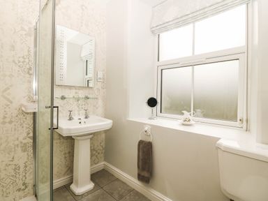 A bathroom with a shower sink and toilet at Craig Y Glyn