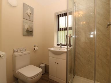 A bathroom with a shower and toilet at Craig Y Glyn Cottage Pwllheli