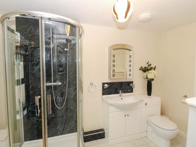 A bathroom with a shower, sink, and toilet at Craig Y Glyn Cottage in Pwllheli