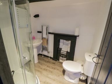 A bathroom with a shower enclosure sink toilet and an old black fireplace at Little Cowarne Court in Little Cowarne near Bromyard