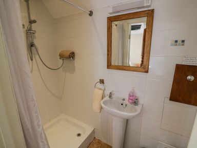 A bathroom with a shower area a sink with hand soap a mirror and a towel at Little Cowarne Court in Little Cowarne near Bromyard