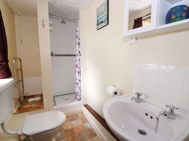A bathroom with a toilet sink mirror shower and a towel rail at Beech Cottage in Llanidloes