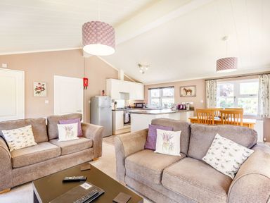 A living room with two sofas and a coffee table connected to a kitchen and dining area at Lavender Lodge in Charlton Horethorne near Sherborne