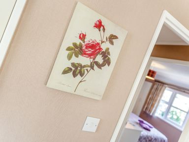 A painting of a red rose on a beige wall next to a light switch and a view into a bedroom with a window at Lavender Lodge Charlton Horethorne near Sherborne