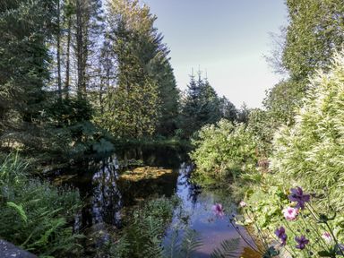 A small pond surrounded by trees and plants with pink flowers at The Log Cabin in Oban