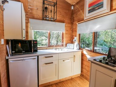 A kitchen with wooden walls and floor a microwave fridge sink kettle and gas stove at The Log Cabin in Oban